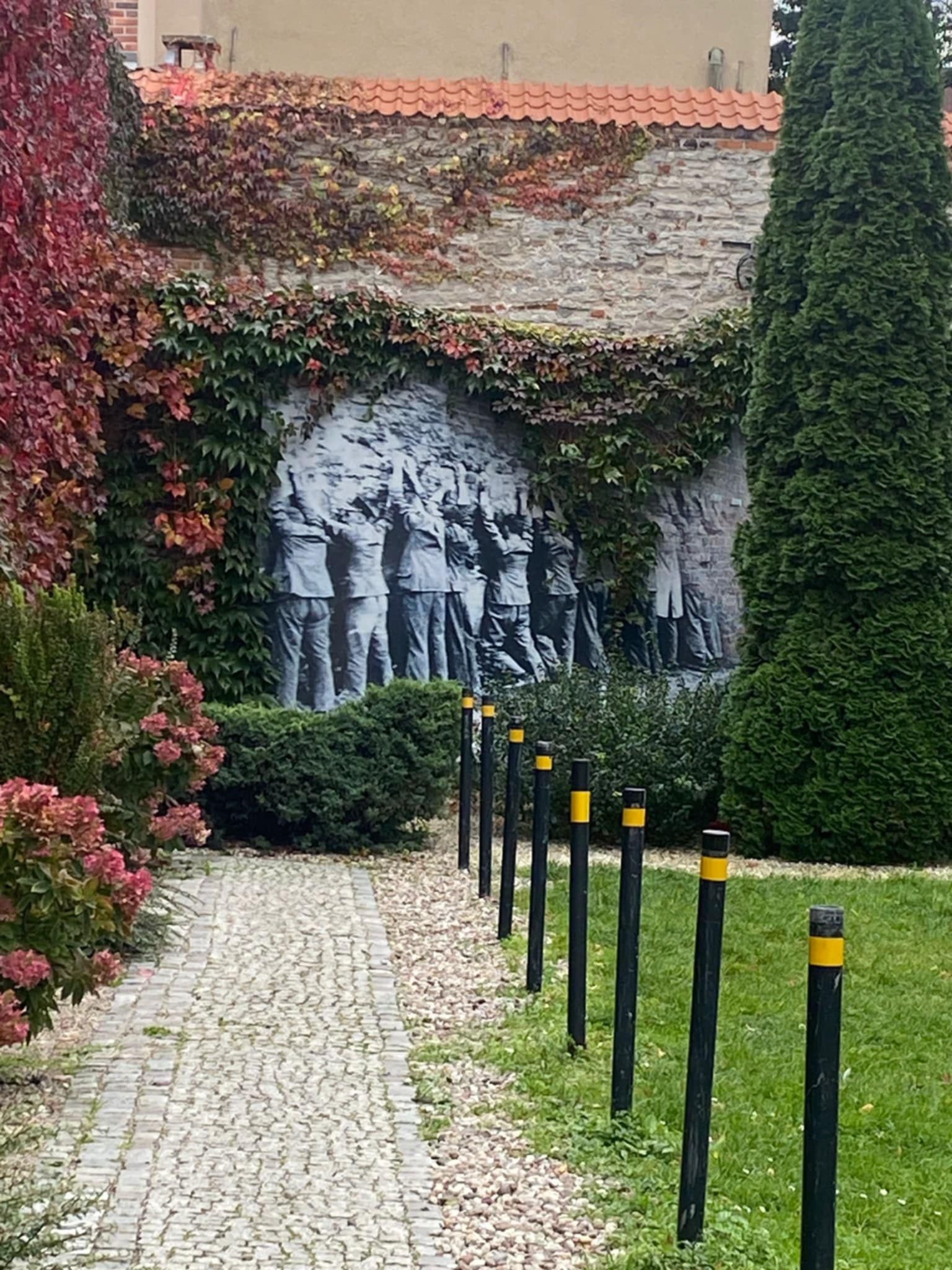 Zdjęcie ściany kwiatów w parku.